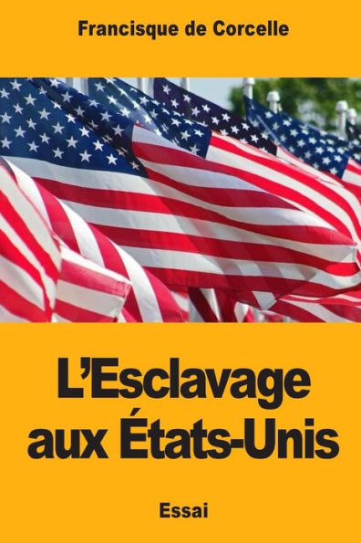 L’Esclavage aux etats-Unis (French Edition)