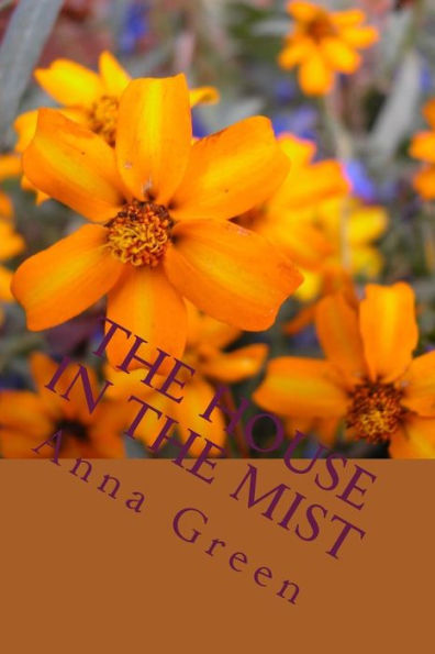 The House In The Mist - 9781983830211