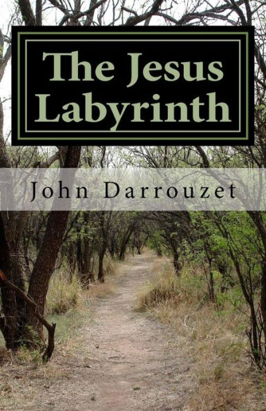 The Jesus Labyrinth : A Workbook To Help You Decide The Answer That Fits Your Issue
