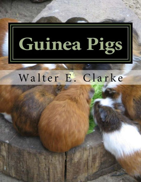 Guinea Pigs: A Practical Treatise on their Breeding, Feeding and Management of Cavies