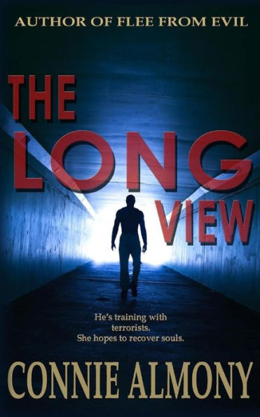 The Long View : A Contemporary Christian Romantic Suspense Thriller