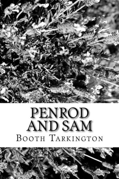 Penrod And Sam - 9781984189417