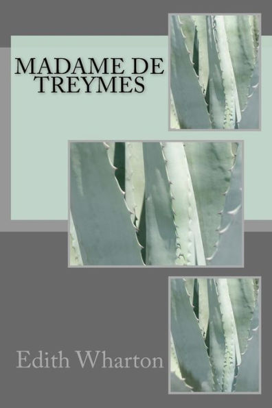 Madame De Treymes - 9781984233288