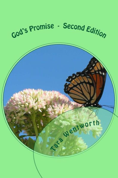 God's Promise - 9781984344953