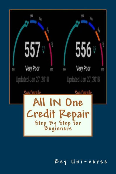 All IN One Credit Repair: Step By Step for Beginners