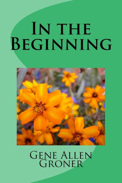 In the Beginning - 9781985035676