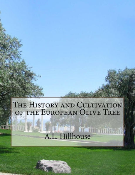 The History And Cultivation Of The European Olive Tree