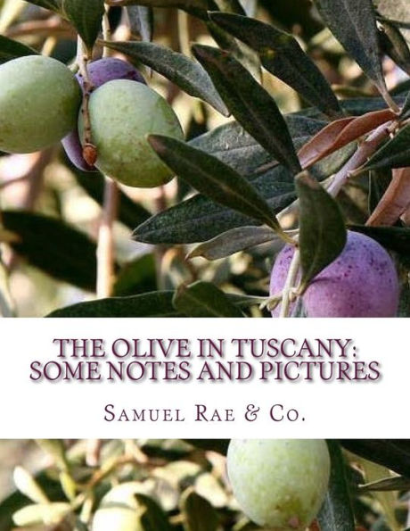 The Olive In Tuscany : Some Notes And Pictures