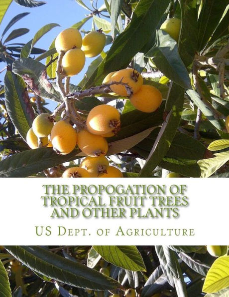The Propogation Of Tropical Fruit Trees And Other Plants : Bureau Of Plant Industry, Bulletin 48