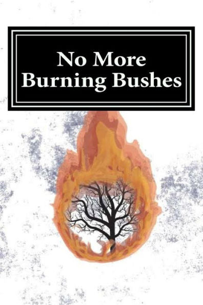 No More Burning Bushes : Finding Meaning In The One Time Events Of The Bible