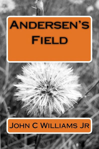 Andersen's Field (Ben Mathis Adventure Series)