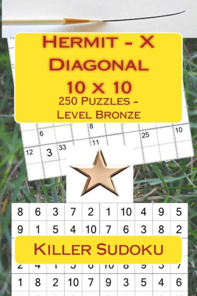 Killer Sudoku - Hermit - X Diagonal - 10 x 10 - 250 Puzzles - Level Bronze: Great option to relax (10 x 10 PITSTOP)