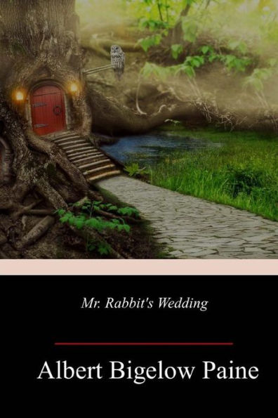 Mr. Rabbit'S Wedding - 9781985786059