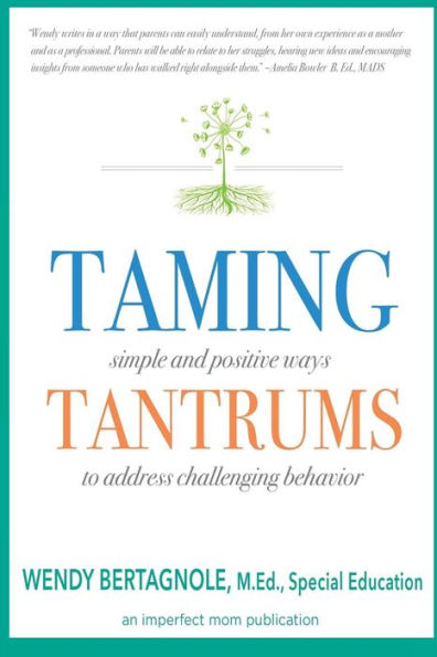 Taming Tantrums : Simple And Positive Ways To Address Challenging Behavior