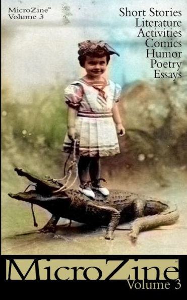 Microzine 3