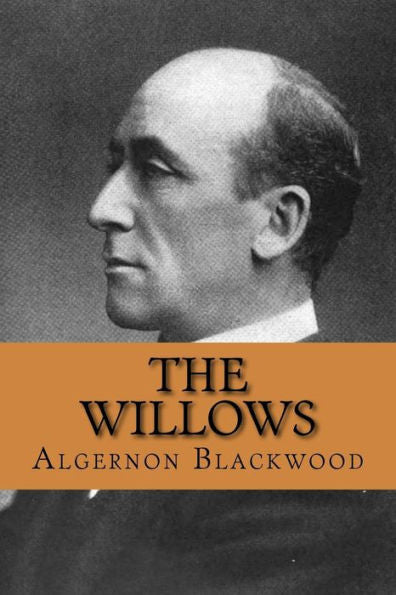 The Willows - 9781986242561