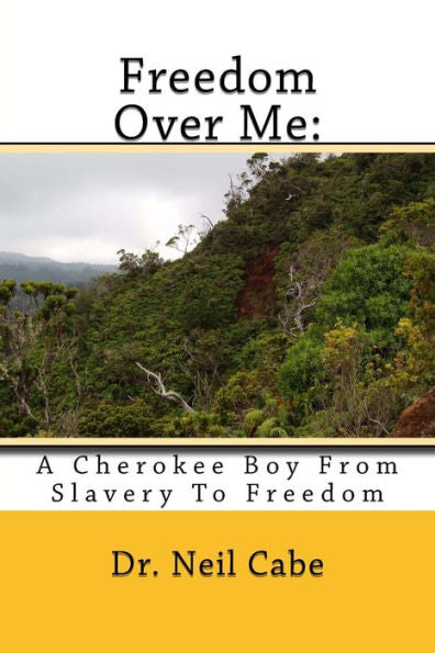 Freedom Over Me:: A Cherokee Boy From Slavery To Freedom