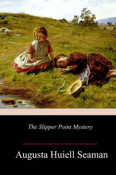 The Slipper Point Mystery - 9781986586979
