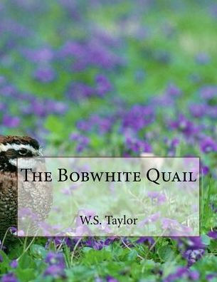 The Bobwhite Quail