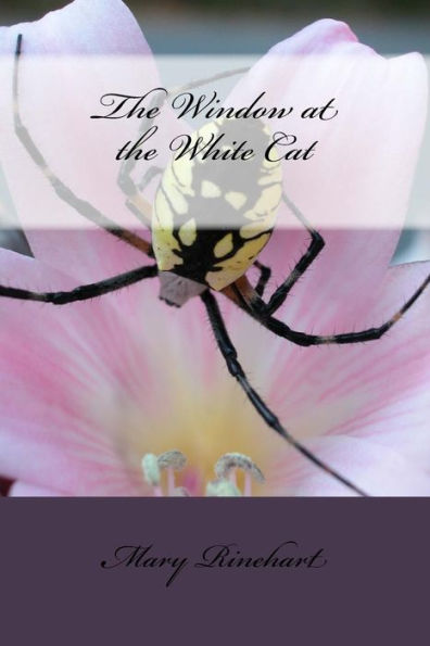 The Window At The White Cat - 9781986768313