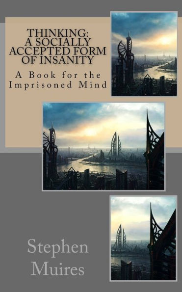 Thinking : A Socially Accepted Form Of Insanity; A Book For The Imprisoned Mind