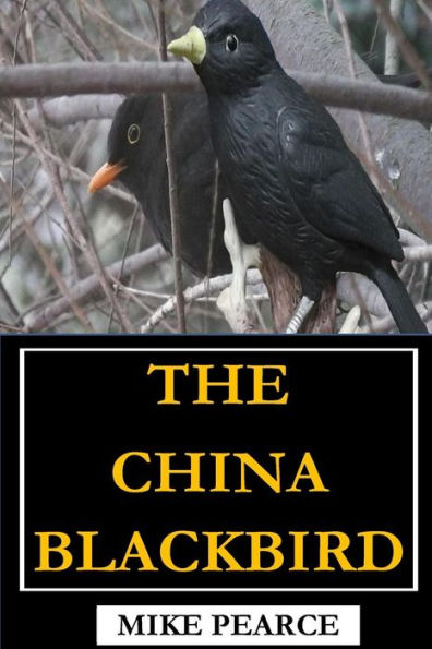 The China Blackbird