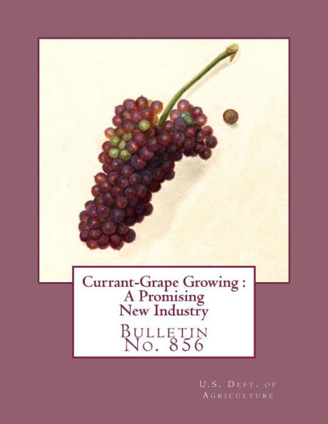 Currant-Grape Growing : A Promising New Industry: Bulletin No. 856