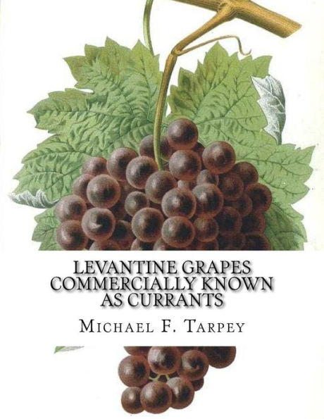 Levantine Grapes Commercially Known As Currants