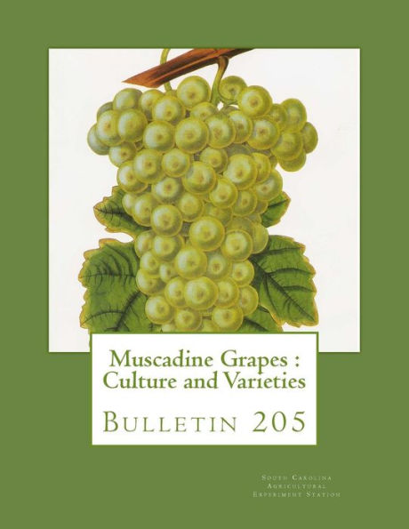 Muscadine Grapes : Culture And Varieties : Bulletin 205