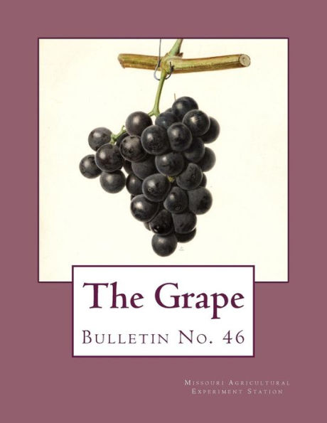 The Grape : Bulletin No. 46