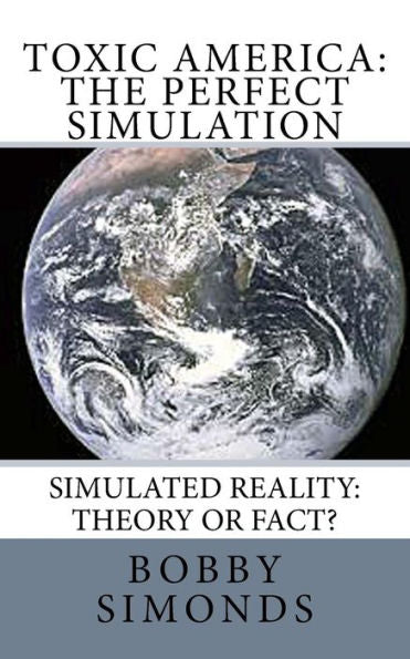 Toxic America : The Perfect Simulation: Simulated Reality Theory, Or Fact?