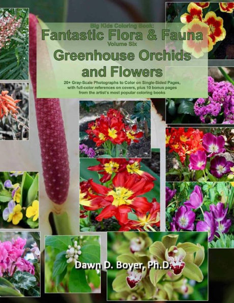 Libro para colorear para niños grandes: Flora y fauna fantásticas: Volumen seis - Orquídeas y flores de invernadero (Libros para colorear para niños grandes)