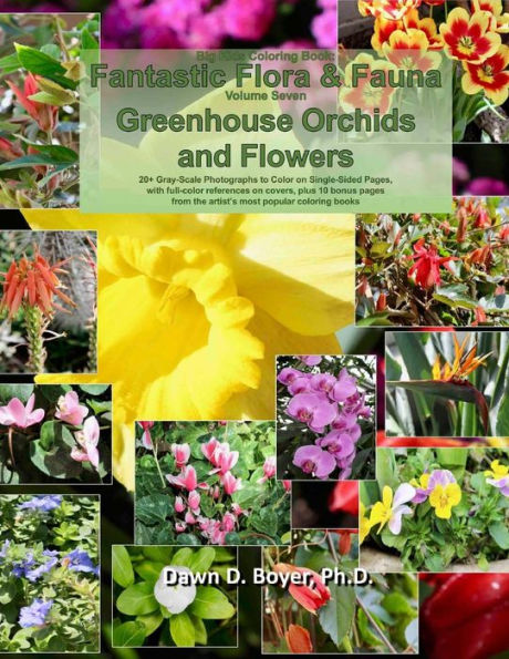 Big Kids Coloring Book: Fantastic Flora and Fauna: Volume Seven - Greenhouse Orchids and Flowers (Big Kids Coloring Books)
