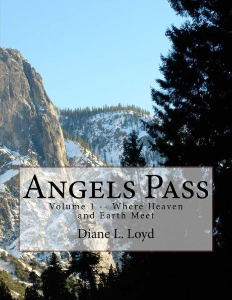 Angels Pass: Volumen 1 - Donde el cielo y la tierra se encuentran