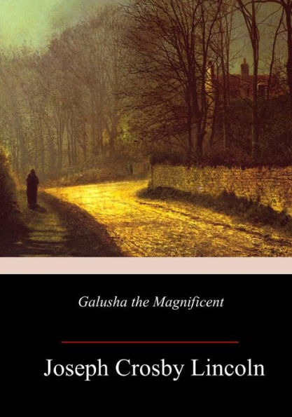 Galusha the Magnificent - 9781987754100