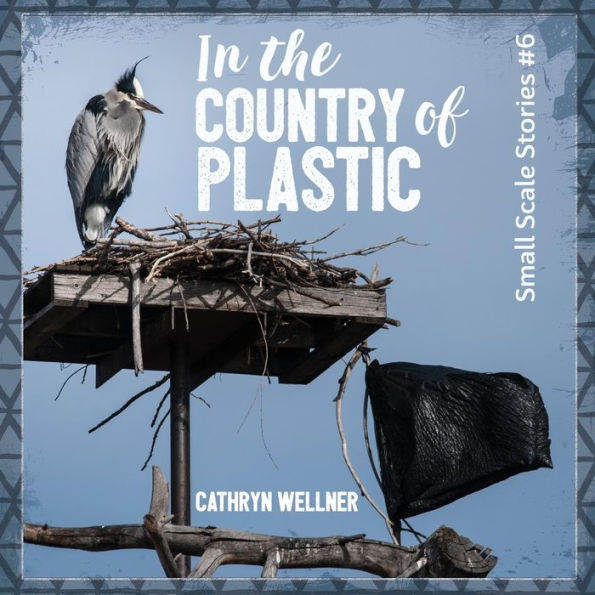 In the Country of Plastic (6) (Small Scale Stories)