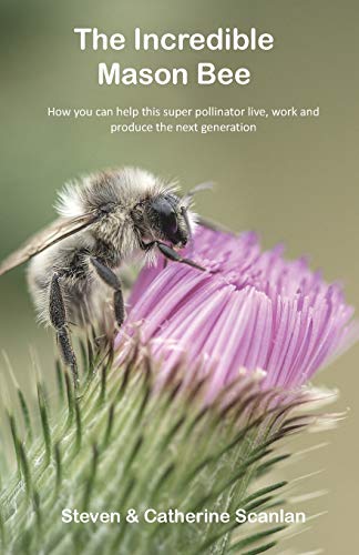 The Incredible Mason Bee - 9781989681107