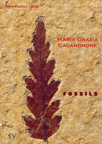 Fossils - 9781999590369