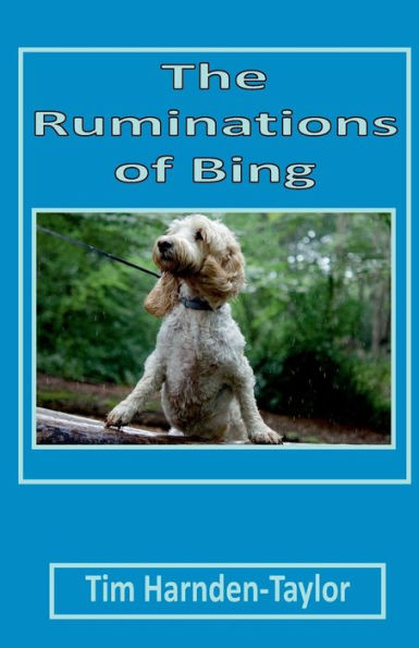 The Ruminations Of Bing : Lines From My Forehead 3