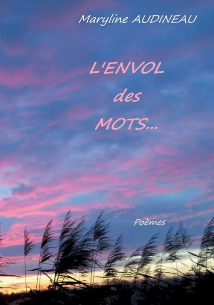 L'Envol des Mots: Et des Maux (French Edition)