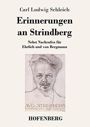 Erinnerungen An Strindberg: Nebst Nachrufen Für Ehrlich Und Von Bergmann (German Edition) - 9783743736863