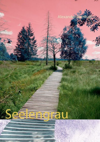 Seelengrau (German Edition)