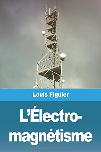L'?ëlectro- magn??tisme (French Edition)