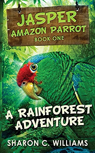 A Rainforest Adventure - 9784867474617