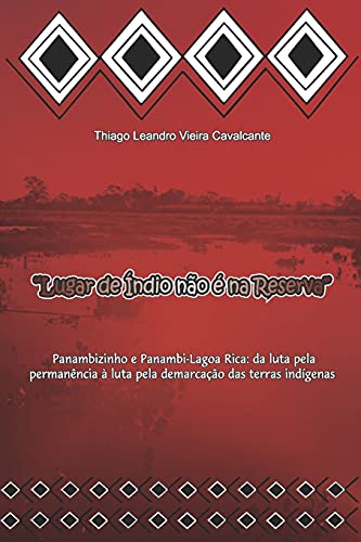 ????·Lugar De ???Ndio N???o ?? Na Reserva?????: Panambizinho E Panambi-Lagoa Rica: Da Luta Pela Perman???Ncia ??? Luta Pela Demarca??????o Das Terras Ind???Genas (Portuguese Edition)