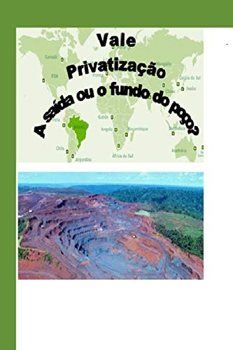 Vale: Privatização – A Saída ou o Fundo do Poço? (Portuguese Edition)