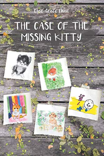 The Case Of The Missing Kitty