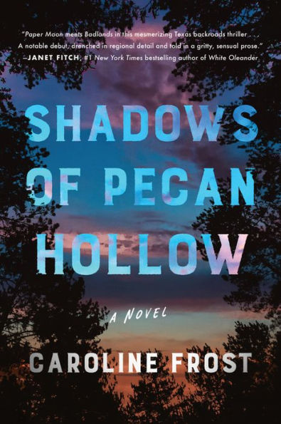 Shadows Of Pecan Hollow: A Novel
