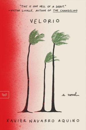 Velorio: A Novel