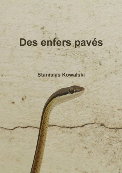 Des Enfers Pavés (French Edition)